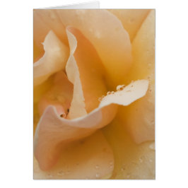 Grace's Gentle Touch-kaart