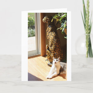 Gracey en het Slechte Zonnebaden van het Kat Kaart