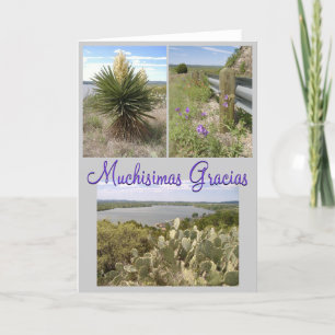 Gracias. Bedankkaart