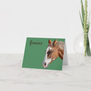 Gracias Dank je wel Paard Grazing Notitiekaart