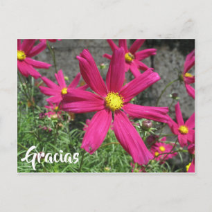 Gracias Spaans paarse bloem bedankt Briefkaart