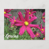Gracias Spaans paarse bloem bedankt Briefkaart (Voorkant)