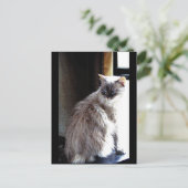 Gracie Briefkaart (Staand voorkant)