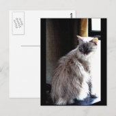 Gracie Briefkaart (Voorkant / Achterkant)