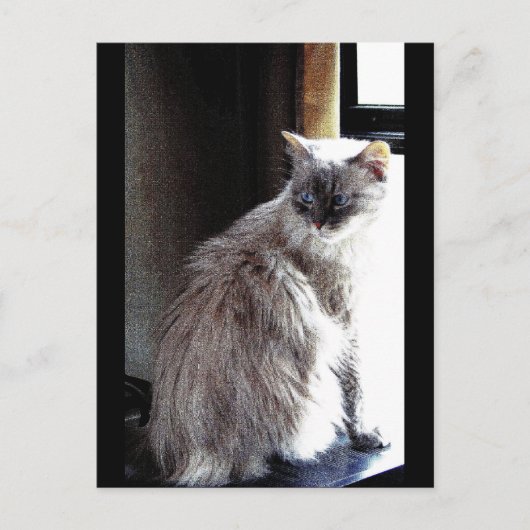 Gracie Briefkaart (Voorkant)