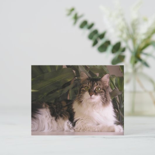 Gracie Briefkaart (Staand voorkant)