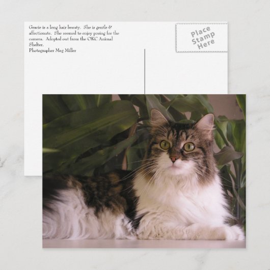 Gracie Briefkaart (Voorkant / Achterkant)