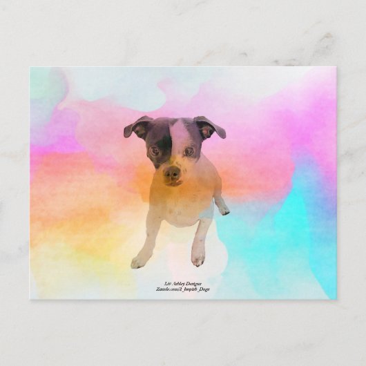 Gracie Disco Blanco Ansichtkaart Briefkaart (Voorkant)
