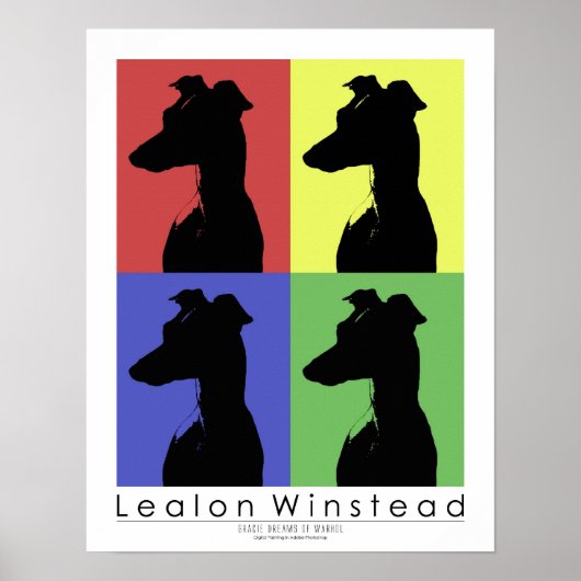 Gracie Dreams of Poster (Voorkant)