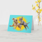 Gracie & Pedro Unleashed Kaart (Gele Bloem)