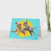 Gracie & Pedro Unleashed Kaart (Voorkant)