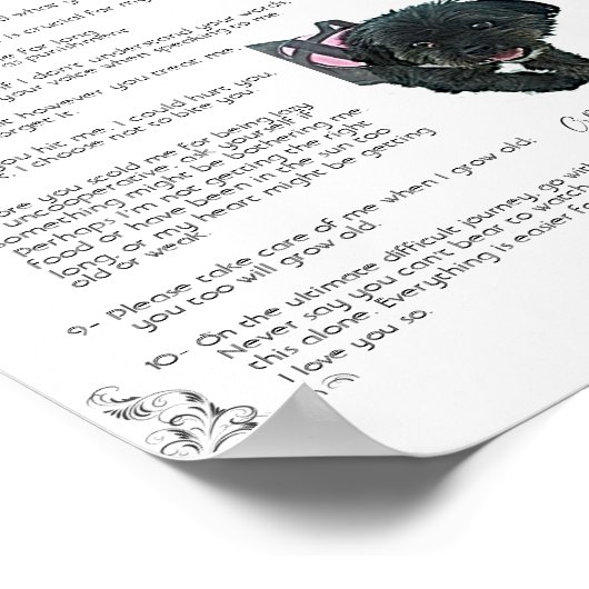 Gracie - Poster (Hoek)