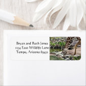 Gracieuze Giraffe Etiket (Insitu)