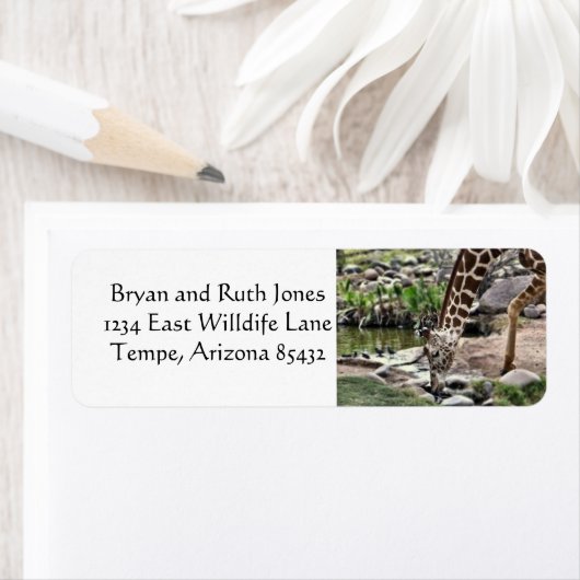 Gracieuze Giraffe Etiket (Insitu)
