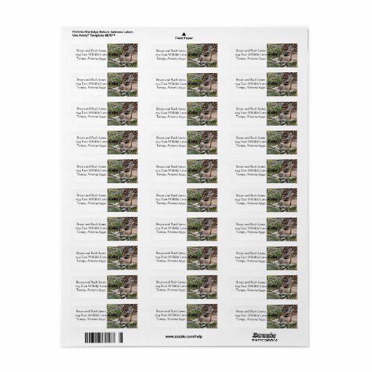 Gracieuze Giraffe Etiket (Full Sheet)