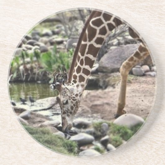 Gracieuze Giraffe Zandsteen Onderzetter (Voorkant)