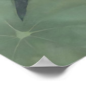 Gracieuze Koi Visvijver Sereniteit Design Poster (Hoek)