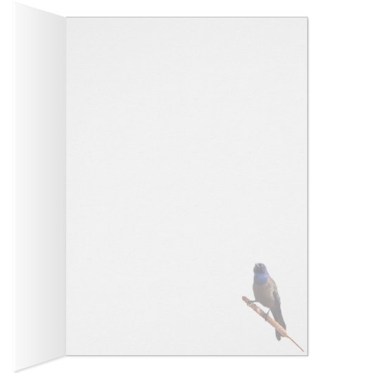 Grackle (Binnen (Rechts))