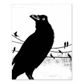 Grackle Austin Texas Black Bird Wildlife Painting Rubberstempel (Afrduk)