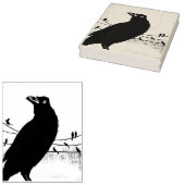 Grackle Austin Texas Black Bird Wildlife Painting Rubberstempel (Gestempeld)
