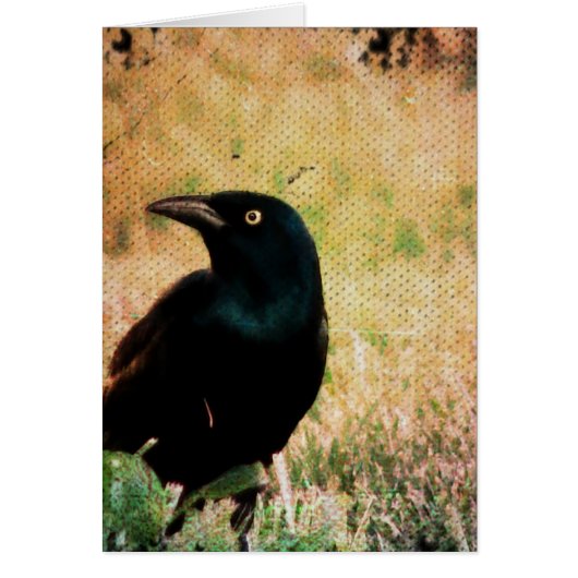 Grackle Bird All Occasions Wenskaart (Voorkant)
