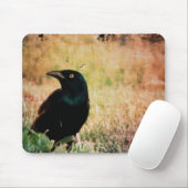 Grackle Bird Muismat (Met muis)