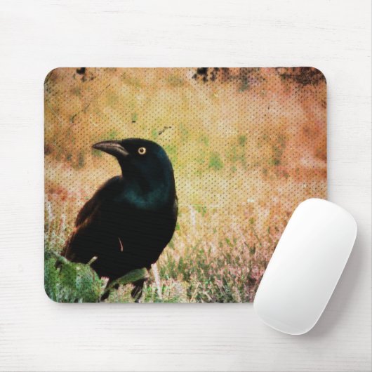 Grackle Bird Muismat (Met muis)