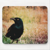 Grackle Bird Muismat (Voorkant)
