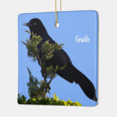 Grackle Bird Ornament (Links)
