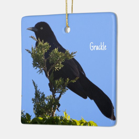 Grackle Bird Ornament (Links)