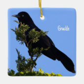 Grackle Bird Ornament (Voorkant)