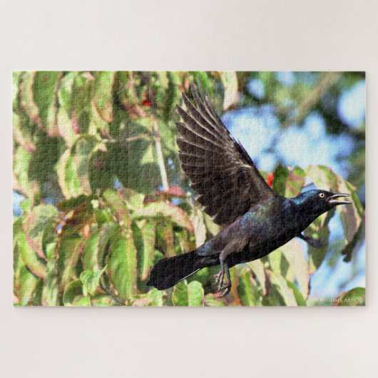Grackle in vlucht legpuzzel (Horizontaal)