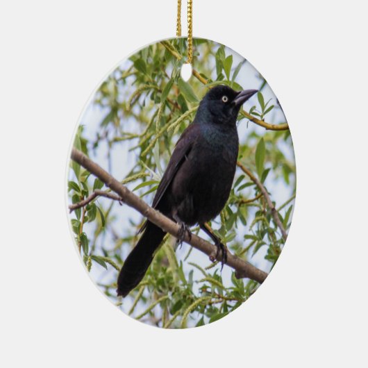 Grackle Keramisch Ornament (Rechts)