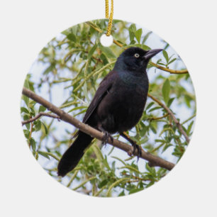 Grackle Keramisch Ornament