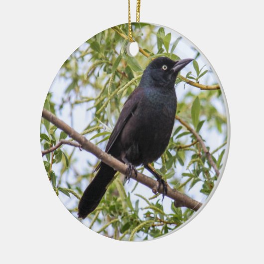 Grackle Keramisch Ornament (Links)