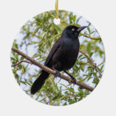 Grackle Keramisch Ornament (Achterkant)