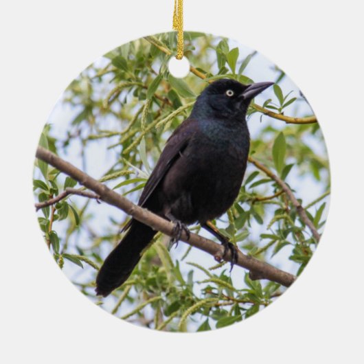 Grackle Keramisch Ornament (Achterkant)