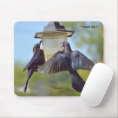 Grackle merels Mousepad Muismat (Met muis)