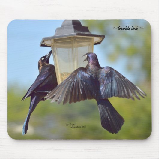 Grackle merels Mousepad Muismat (Voorkant)