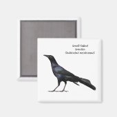 Grackle met grote buikholte magneet (Voorkant / Achterkant)