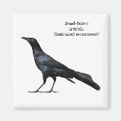 Grackle met grote buikholte magneet (Voorkant)
