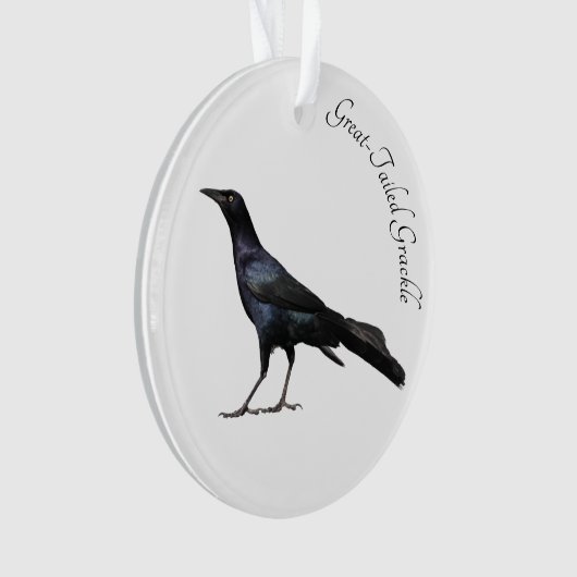 Grackle met grote buikholte ornament (voorkant)