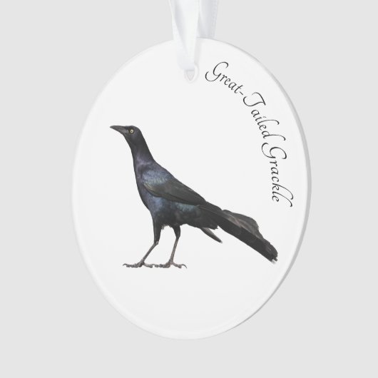 Grackle met grote buikholte ornament (voorkant)