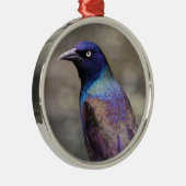 Grackle Metalen Ornament (Rechts)