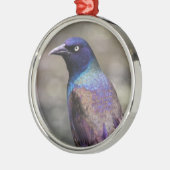 Grackle Metalen Ornament (Links)
