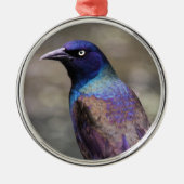 Grackle Metalen Ornament (Voorkant)
