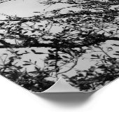 Grackle Poster (Hoek)