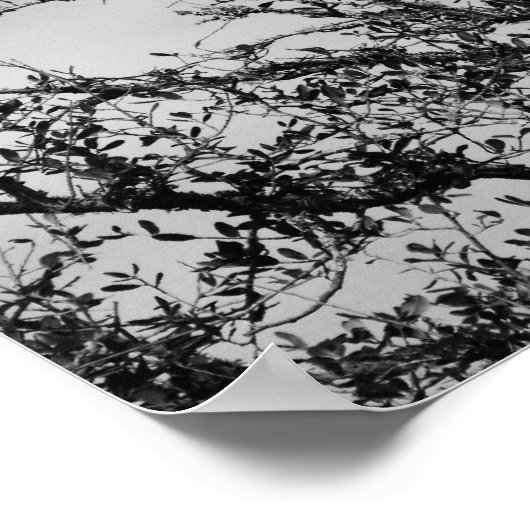 Grackle Poster (Hoek)