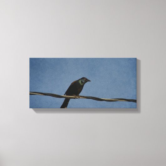 Grackle Power Canvas Afdruk (Voorkant)