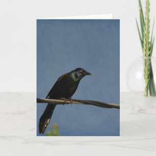 Grackle Power, Happy Birthday Kaart